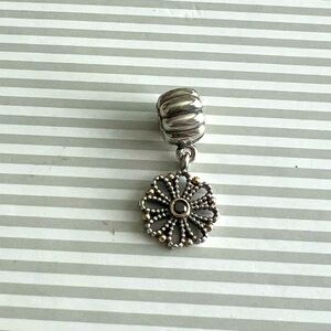 Pandora Charm